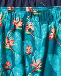 Tommy Bahama Big & Tall Tropical Print & Solid Knit Boxers—2-Pack- Underwear